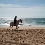 T1 Tranquilidade *